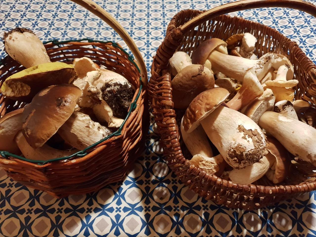 Willa Le Parc Lann Sainte-Brigitte Zewnętrze zdjęcie
